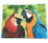 Onwomania Perroquets Oiseaux Psittaciformes 9x7cm Carte magnétique 3D Aimant pour réfrigérateur Aimant pour cahier multicolore