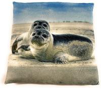 Onwomania phoque mignon coussin en peluche pour canapé ou lit comme déco, décoration ou coussin douillet 35x35 cm