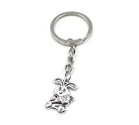Onwomania Porte-clé lapin avec carotte sur pendentif breloque en métal argenté