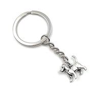 Onwomania Porte-clés en métal porte-bonheur pour chien ou animal de compagnie - Avec boîte cadeau en aluminium - Idéal pour offrir, argenté, taille unique