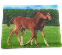 Onwomania Poulain Cheval Jument Cheval 9x7cm Carte magnétique 3D Aimant pour réfrigérateur Image magnétique Aimant pour cahier marron