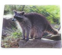 Onwomania raton laveur ourson mignon 9x7cm carte magnétique 3D aimant frigo image magnétique aimant cahier gris