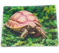 Onwomania Tortue Tortue terrestre 9x7cm Carte magnétique 3D Aimant pour réfrigérateur Tableau magnétique Aimant pour cahier Marron
