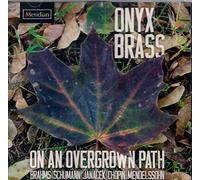 Onyx Brass - on an Overgrown Path [Import]