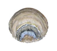 Onyx Stone Bonnet de douche imprimé bleu pâle, bonnet de douche doublé pour femme, réutilisable, double couche imperméable