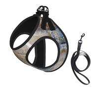 Onyx Stone Ensemble harnais et laisse imprimé bleu pâle pour chien, gilet réfléchissant et réglable pour chiens de petite, moyenne et grande taille