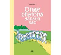 Onze chatons dans un sac