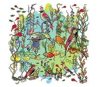 O'O , John Zorn