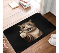 OOAXBEED Tapis de Sol antidérapant avec Un Chat Qui pleure et Un Pouce levé, idéal pour la Cuisine, l'entrée et la Salle de Bain.