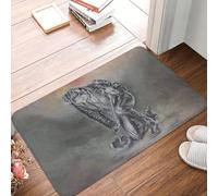 OOAXBEED Tapis d'entrée personnalisé Johnny Hallyday, Star du Rock, antidérapant et Absorbant, pour intérieur, inspiré du Chanteur français. Tapis d'entrée pour Salon.