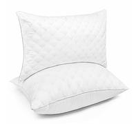 OOCMESS Oreiller 50x70 cm Lot de 2 Hotellerie Luxe Oreillers, Antiallergique Anti Acarien d'oreiller Moelleux Microfibre Lavable, Ergonomique Oreiller pour Dormeurs sur Le Dos Le Côté Le Ventre
