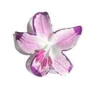 Oocyte Pince à cheveux en forme de fleur confortable pour femmes denses et femmes occasionnels incidents spéciaux Pince confortable pour chignon et demi-up