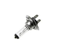 (Opakowanie 10 Szt Ampoule Halogène Convient pour Lampe à H7 12V 55W Support