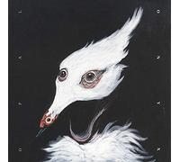 Opal Onyx - Delta Sands