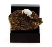 Opale-CT - ABIJOUX - Pierre Lussatite - 59.1 ct - Dallet, Puy-de-Dôme