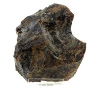 Opale résinite - ABIJOUX - Pierre - 1015.0 ct - Saint-Pierre-Eynac, Haute-Loire, France