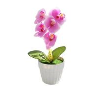Opatiny Bonsaï artificiel Phalaenopsis pour décoration intérieure, 8,5 x 8,5 x 26 cm, fleur artificielle en plastique pour maison, bureau, table, étagère, pas d'entretien nécessaire