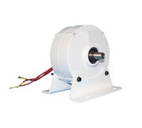 Opatiny Générateur à aimant permanent 100 W 12/24 V Moteur synchrone triphasé pour usage industriel, température de fonctionnement de -40 ℃ à 80 ℃