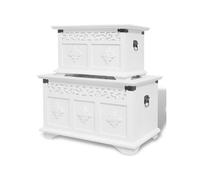 vidaXL Ensemble de deux coffres de rangement Blanc