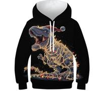 OPCALIS 3D Printed Garçon Fille Sweat À Capuche Tyrannosaurus Rex Hoodie Dinosaur Pull Long Sleeve Casual Mit Poche 8-10Y