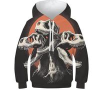 OPCALIS Garçons Filles Hoodie Tyrannosaurus Rex 3D Printed Pullover Pull Manches Longues Sweatshirt Dinosaur avec Grandes Poches Athletic Casual Novelty 13-15Y