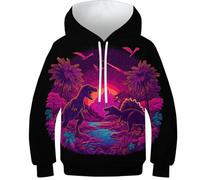 OPCALIS Unisexe Hoodie Tyrannosaurus Rex 3D Printed Pull Manches Longues Sweatshirt Dinosaur avec Poche pour Enfants Garçons Filles Casual 10-12Y