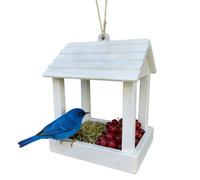 Open Feeder, Weatherproof Food Station, 5.12x3.94 inches Gazebo with Roof, Hanging Bird Station, Outdoor Viewing with Durable, Garden Feeding for Hummingbird and Finch, Garden and Outside