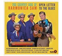 Open Letter To The Blues [12 Inch Analog]