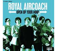 Open Up Your Mind/Vinyle Bleu Ciel