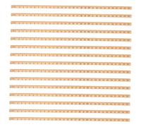 Operitacx 15 Pièces Règles à Échelle Simple Face Outil de Mesure et Durable pour École Bureau et Projets à Domicile Règle Carrée pour Dessin