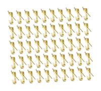 Operitacx 70 Pièces Crochets de Suspension pour Images de Crochets Muraux avec Clous pour Œuvres Art et Charge de Lb pour Murs Plâtre et