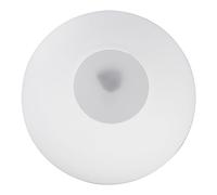Operitacx Abat Jour Verre Dépoli Sphérique pour Lampe Suspendue Accessoire Décoratif de Compatible avec Lustres et Plafonniers Facile à Installer Parfait pour Toutes