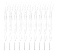 Operitacx Branches Décoratives Sèches en Bois Blanc 10pcs Portables pour Décoration Intérieure sur Bureau ou Fenêtre