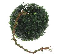 Operitacx Cachette Murale en Plastique Légère de Boule Design pour Gecko et Rainette, pour L'aménagement de Terrariums et Habitats Reptiliens