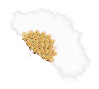 Operitacx Éventail Plumes pour Mariage Éventail Portable Élégant pour Femme Accessoire Chic de Fête pour Photos et Décorations de Mariage