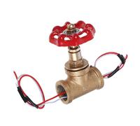 Operitacx Interrupteur Vintage à Valve Fer Pour Lampes Décoration Steampunk Maison Salle De Bain Avec Fil Rouge Et Blanc