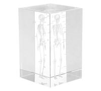 Operitacx Modèle Anatomique Squelette Humain Cristal Gravé Cube Transparent Décoratif et Outil Pédagogique pour Médecins Étudiants Physiologie et Collectionneurs Cadeau de Noël Élégant