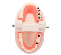 Operitacx Modèle de Dents de Prothèse Amovible en Abs Moule de Précision pour Apprentissage et Recherche des Étudiants en Odontologie