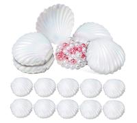 Operitacx Organisateur de Bijoux Coquillage Lot de 15 - Boîte à Bibelots pour Friandises Rangement Sécurisé - Accessoire de Photographie Décoration pour Événements