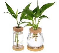 Operitacx Vases Hydroponiques en Verre Borosilicate 2 Pièces avec Bouchon en Liège et Plateau, Base Stable et Arrosage Facile pour Plantes D'intérieur et Jardins Miniatures