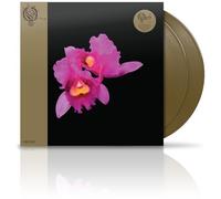 Orchid