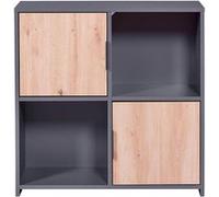 OPHELY - Meuble 2 Portes 2 Niches Anthracite et Effet Bois -
