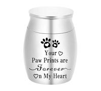 OPIGJUFD Urne pour Animal de Compagnie Mini boîte scellée for Cendres d'animaux de Compagnie, urne funéraire étanche à l'humidité avec Empreintes Pattes pour Mémoire(Silver)