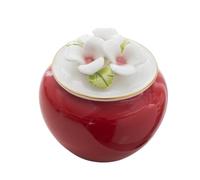 OPIGJUFD Urne pour Animal de Compagnie Urne Florale for Animaux de Compagnie, Chiens, Chats, Oiseaux, Petits, Pot Conservation scellé, Fournitures commémoratives pour Mémoire(Red)