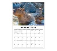 Opilroyn Calendrier 2026-2027 - Planificateur personnel de gestion du temps sur le thème de Capybara | Calendrier mural mensuel 2026-2027 - pour planifier les rendez-vous