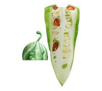 Opilroyn Costume De Jeu De Rôle Aux Fruits Et Légumes, Aux Costumes Drôles Du Melons Pomme Et Amer, Des Costumes De Comédie Adulte, Des Vêtements Unisexes, Une Tenue De Cosplay D'Halloween Unique,