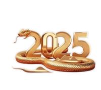 Opilroyn Ornement de serpent chinois du Nouvel An - Pendentif serpent de Nouvel An - Pendentif de décoration en acrylique 2D - Serpent du Nouvel An - Charme festif de bonheur, de richesse - Année du