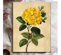 OPLKJHGF Tableau botanique vintage sur toile, rose jaune, illustration florale antique, décoration rustique pour chambre (50 x 70 cm/cadre intérieur)