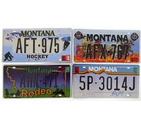 OPO 10 - Lot de 4 PLAQUES D' IMMATRICULATION de Voiture USA en métal - répliques de Vraies plaques américaines Montana