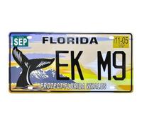 OPO 10 - Plaque D' IMMATRICULATION de Voiture USA - réplique en métal : Florida (85)